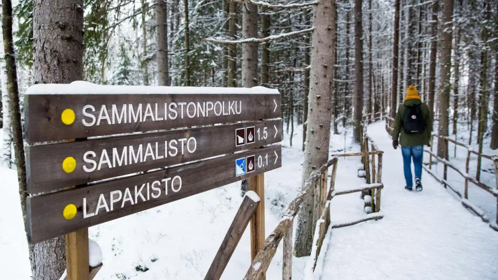 Reittiopasteet Lapakiston luonnonsuojelualueella, taustalla vierailija.